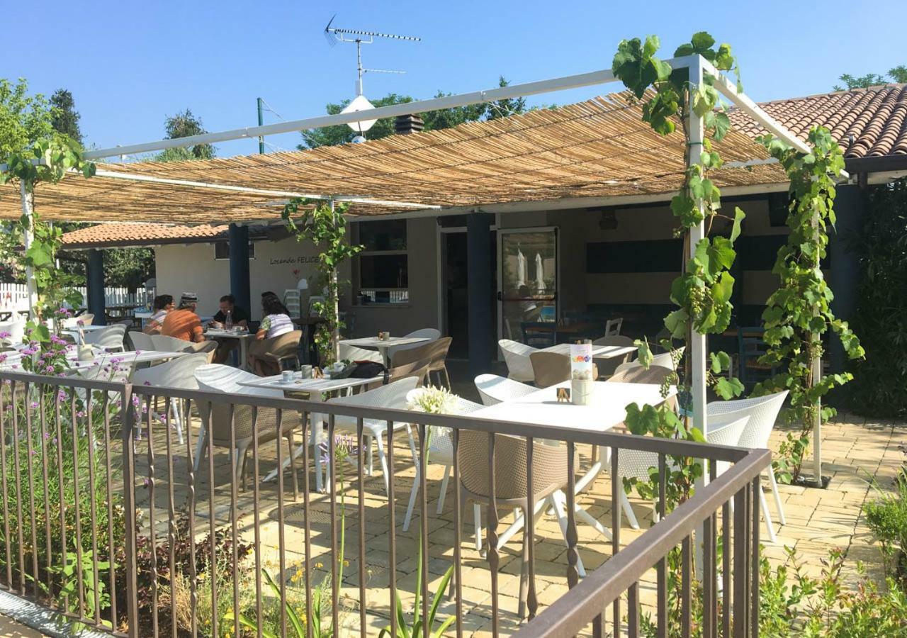 Vacanze Glamping Boutique San Felice del Benaco Eksteriør billede